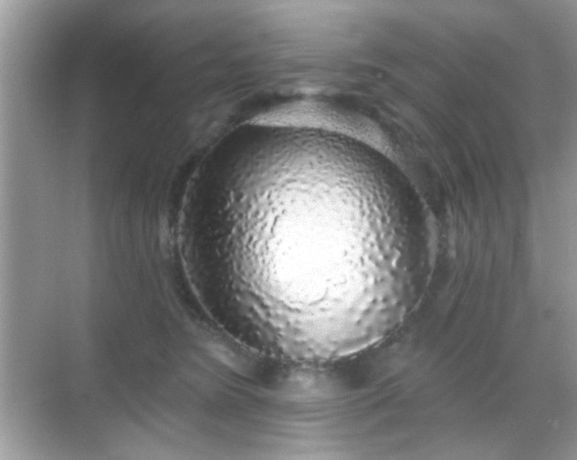 X0000069360420200605121121