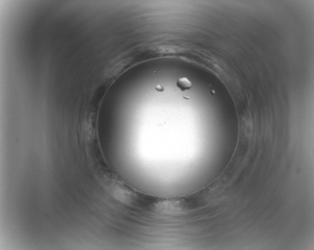 X0000069360422200605121121