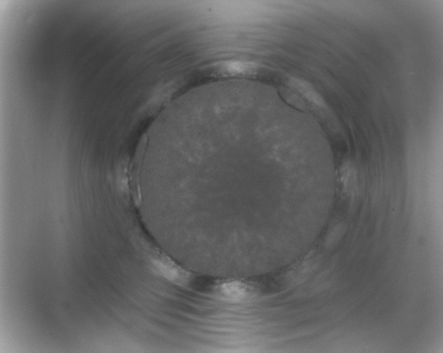 X0000069360423200605121121