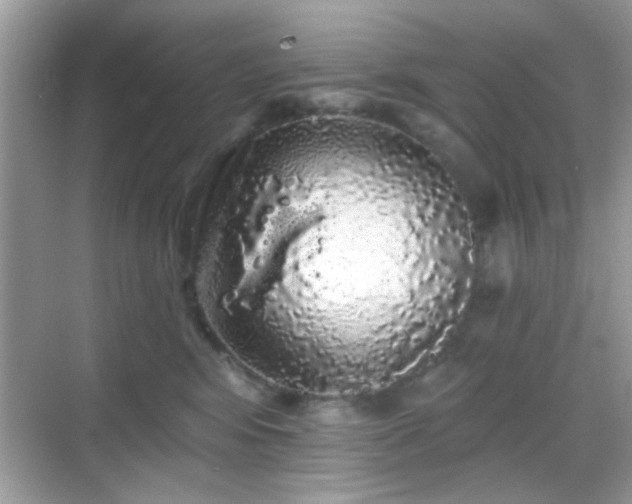 X0000069360424200605121121