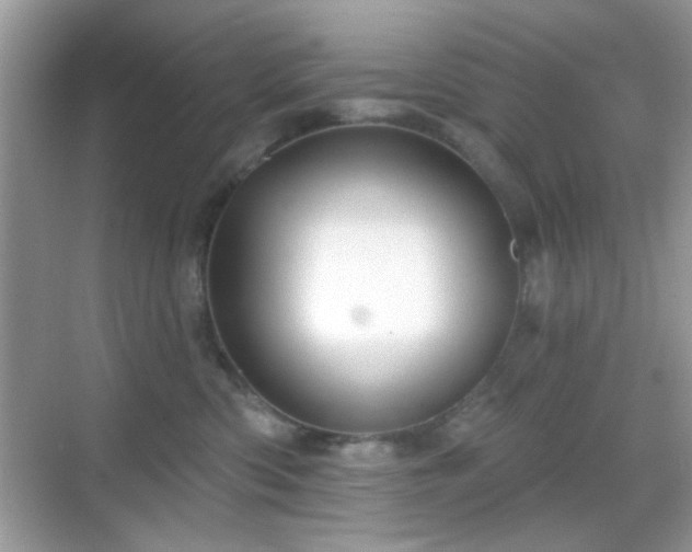 X0000069360426200605121121