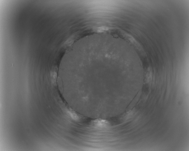 X0000069360427200605121121