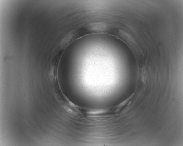 X0000069360428200605121121