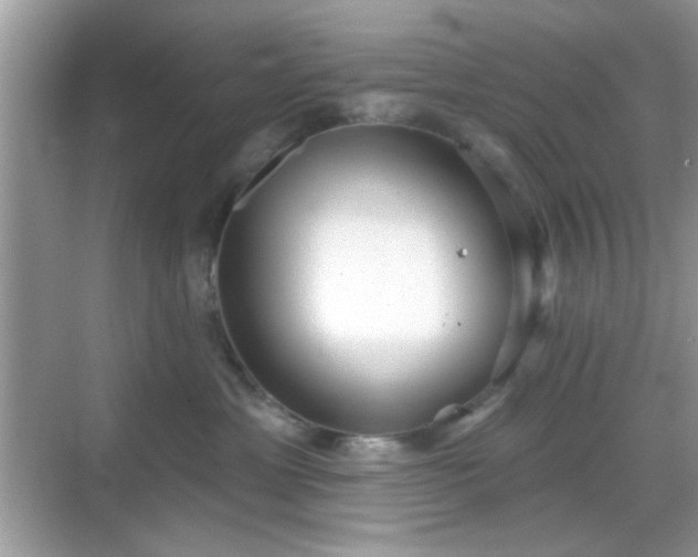 X0000069360429200605121121