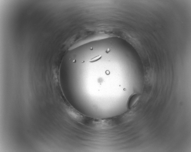 X0000069360430200605121121