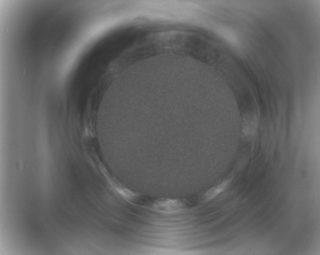 X0000069360431200605121121