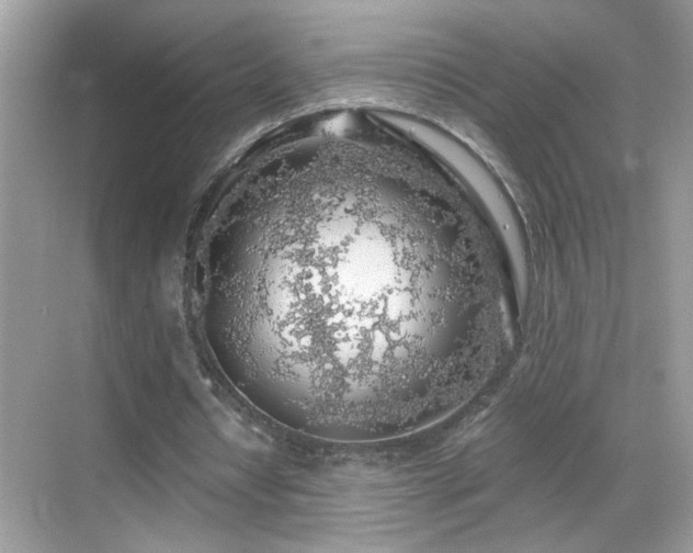 X0000069360434200605121120