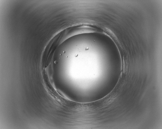 X0000069360435200605121121