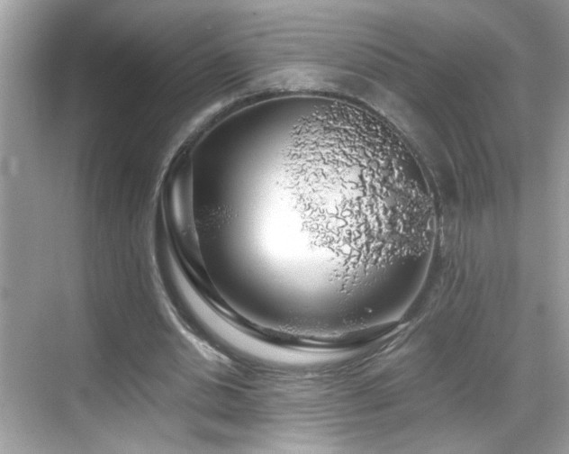 X0000069360438200605121121