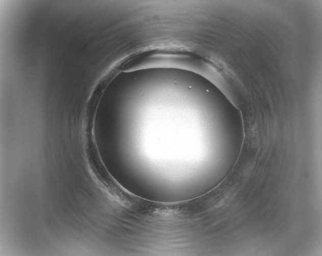 X0000069360440200605121121