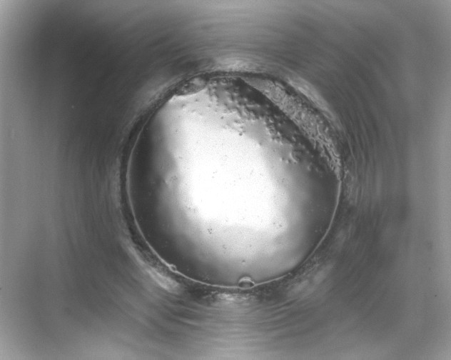 X0000069360442200605121121