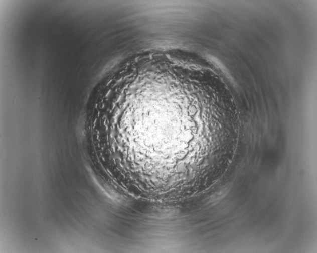 X0000069360443200605121121