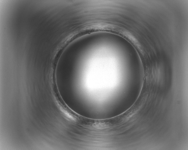 X0000069360445200605121121