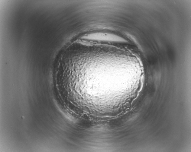 X0000069360447200605121121