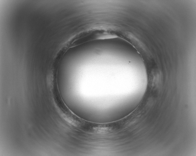 X0000069360448200605121121