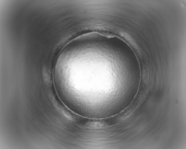 X0000069360449200605121121