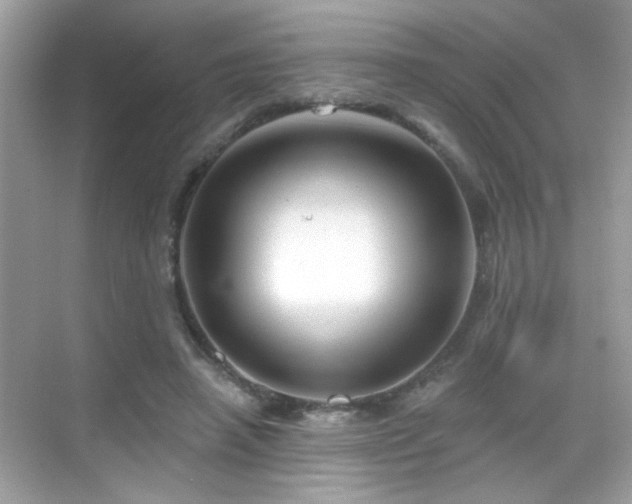 X0000069360450200605121121