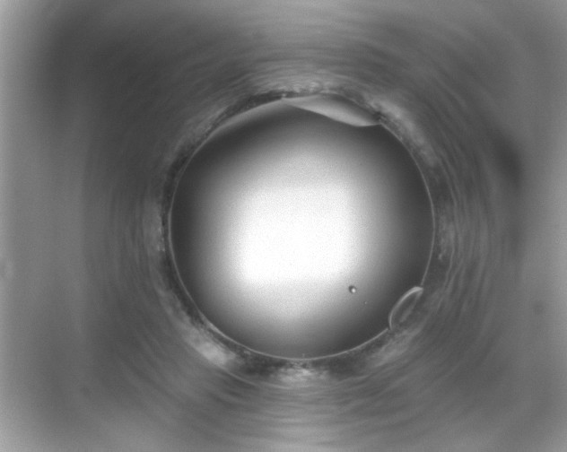 X0000069360453200605121121