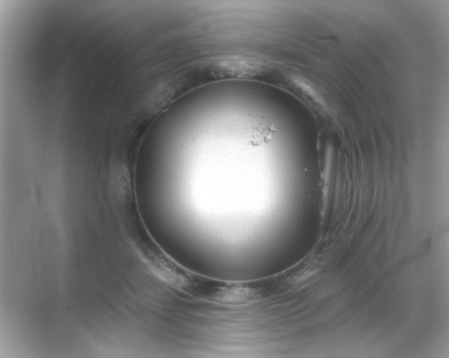 X0000069360459200605121121