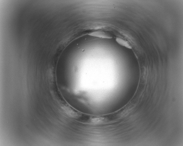 X0000069360461200605121121