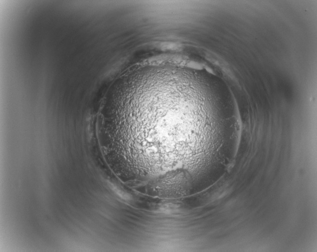 X0000069360462200605121121