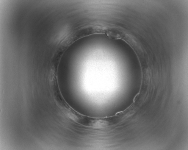 X0000069360463200605121121