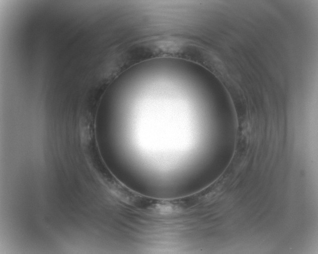 X0000069360464200605121121