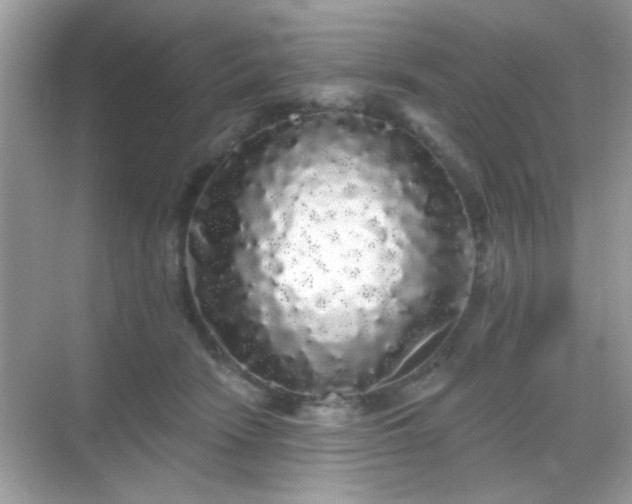 X0000069360466200605121121