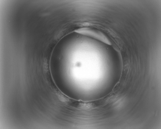 X0000069360469200605121121