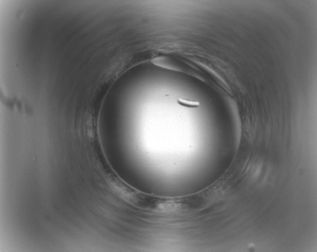 X0000069360470200605121121