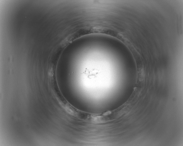 X0000069360472200605121121