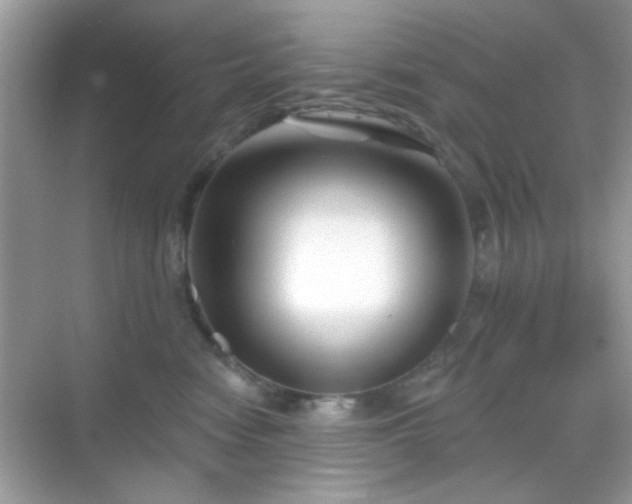 X0000069360474200605121121