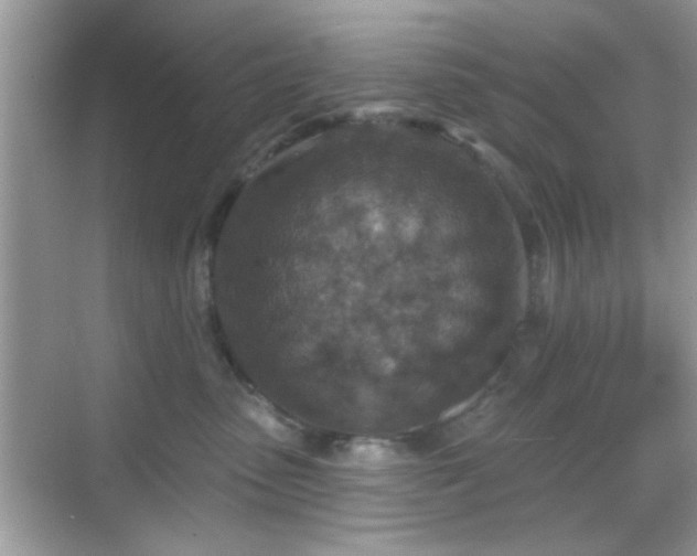 X0000069360475200605121121