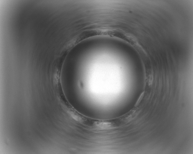 X0000069360476200605121121