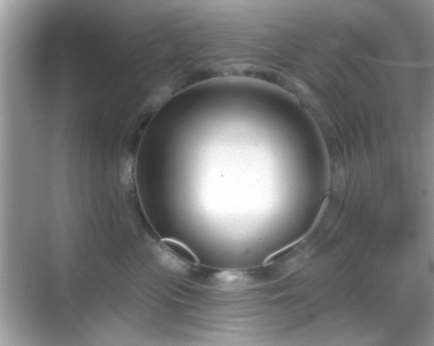 X0000069360477200605121121