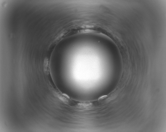 X0000069360480200605121121