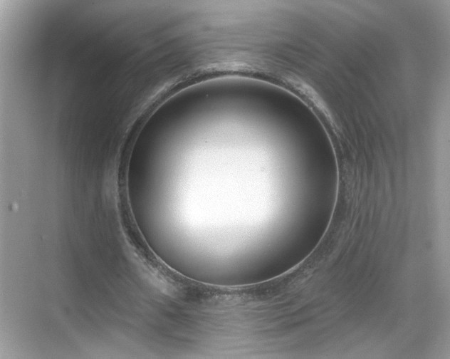 X0000069360482200605121120