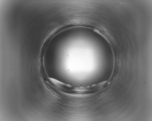 X0000069360488200605121120