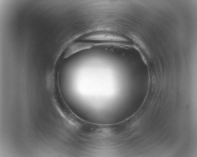 X0000069360492200605121120