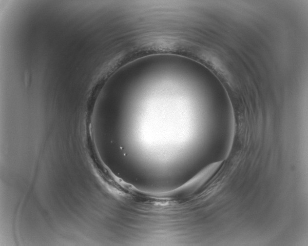 X0000069360493200605121120