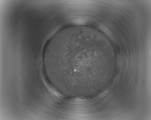 X0000069360494200605121120