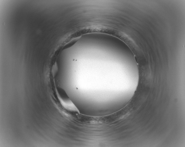 X0000069360496200605121120