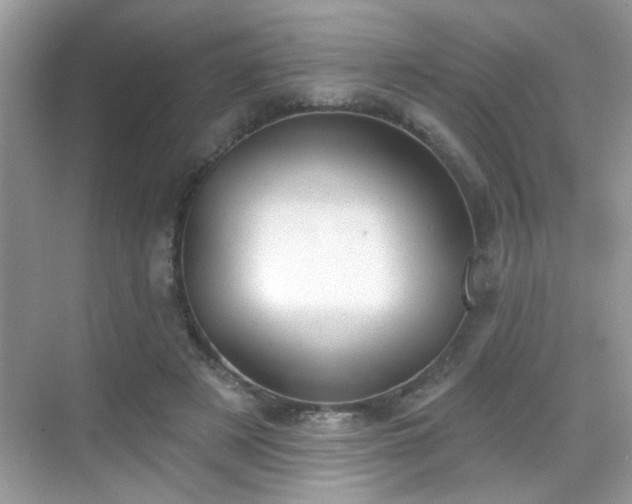 X0000069360497200605121120