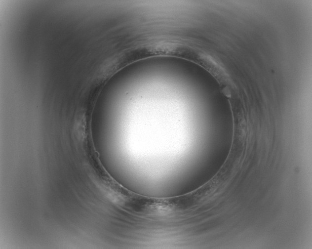 X0000069360498200605121120