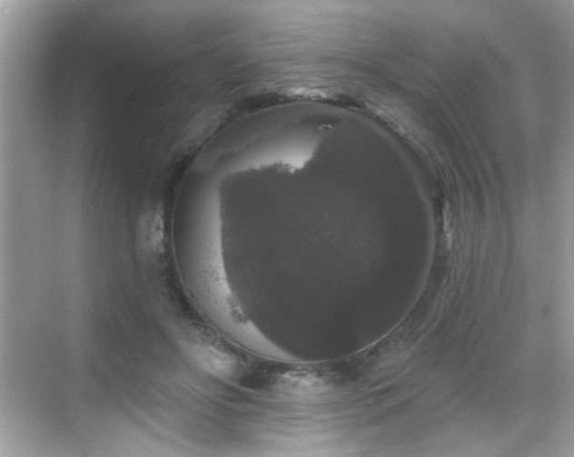 X0000069360502200605121120