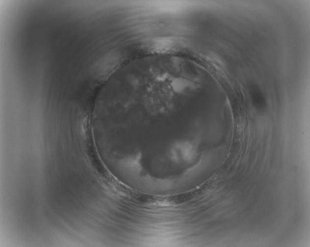 X0000069360503200605121120