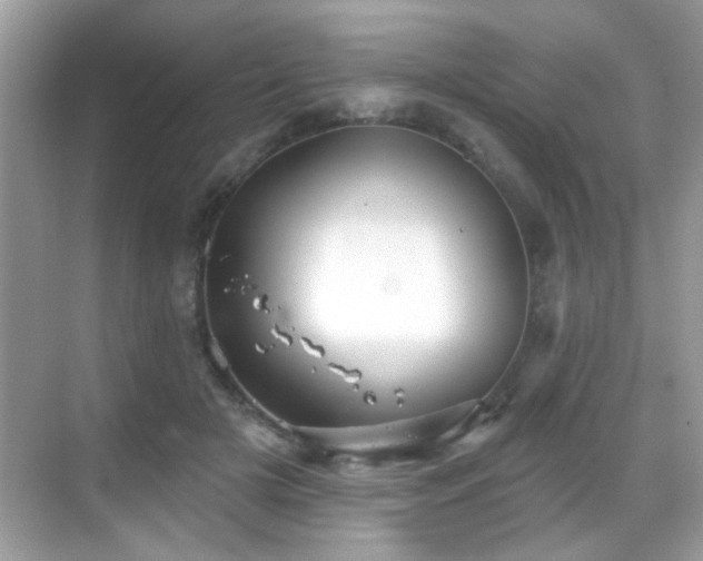 X0000069360505200605121120