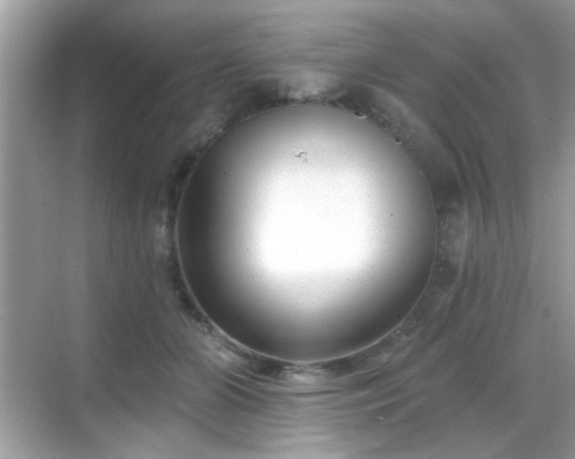 X0000069360510200605121120