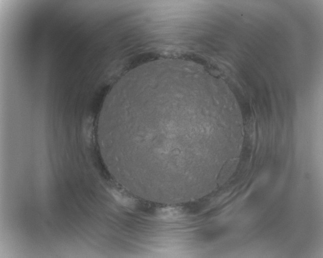 X0000069360511200605121120