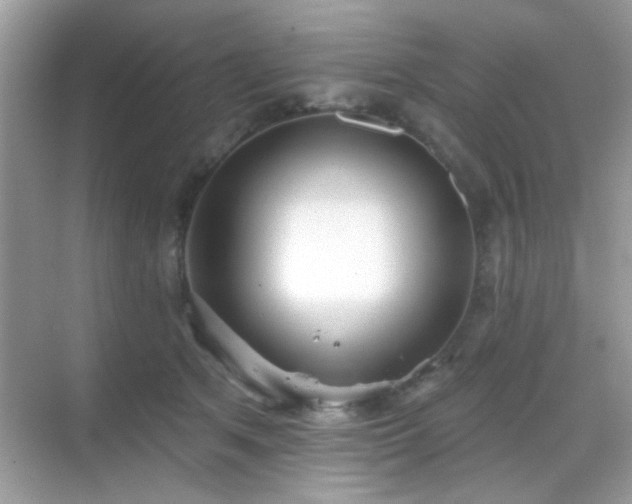 X0000069360513200605121120